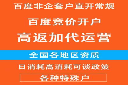 竞价托管服务深度解析：企业如何借助其提升业绩？